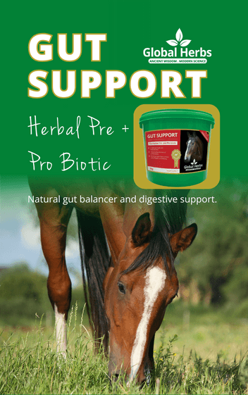 Global Herbs March SKU banner horse supps
