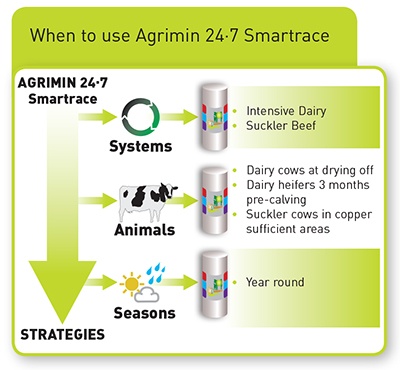 Smartrace cattle technology illust b