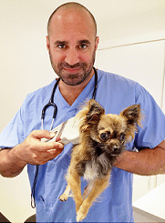 Marc Abraham or 'Marc the Vet' as he is more commonly known, is a practicing veterinary surgeon, author and animal welfare campaigner based in Brighton, England.