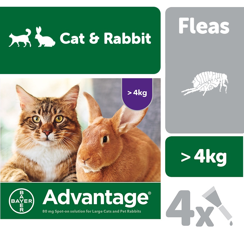 Advantage 80 Spot On Flea Control Large Cats And Rabbits