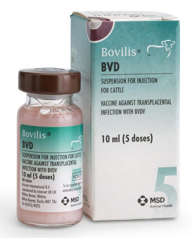 Bovilis | Cattle Vaccine  | FREE delivery available