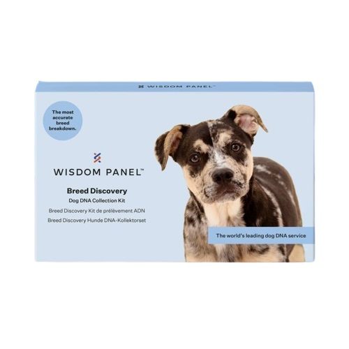 Breed groups best sale wisdom panel