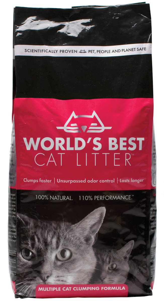 best cat litter