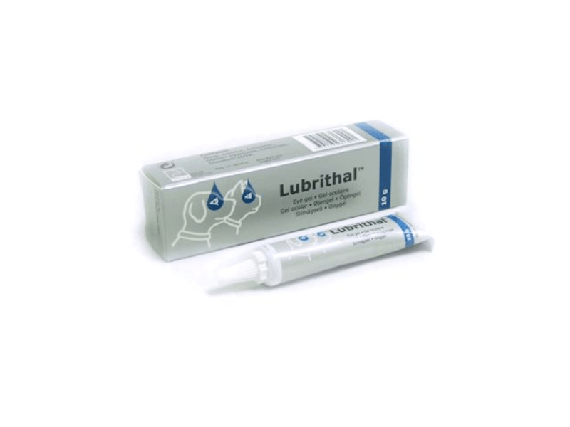 Lubrithal eye drops for dogs hotsell