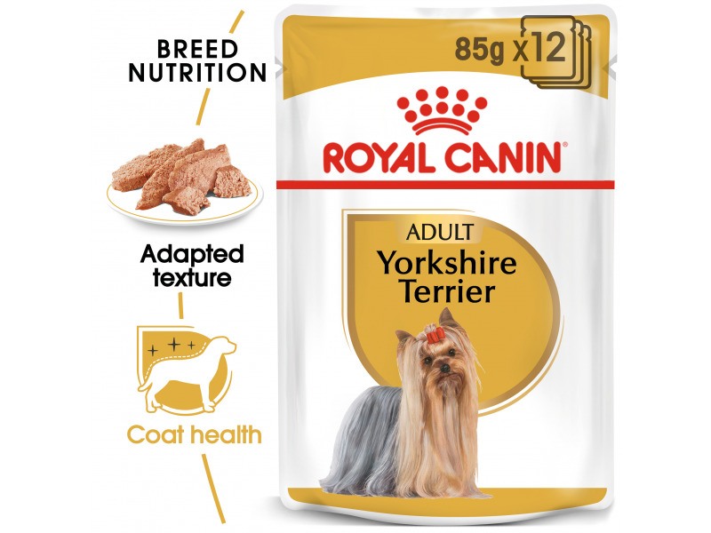 ROYAL CANIN® Yorkshire Terrier Adult Dog Food VioVet.co.uk