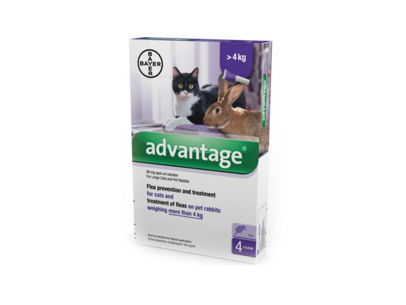 Advantage 80 Spot On Flea Control Large Cats and Rabbits