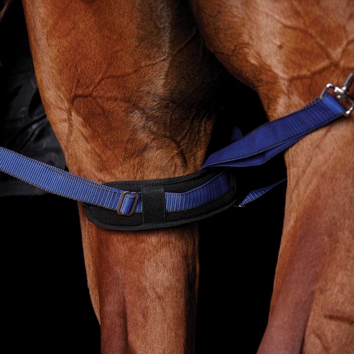 Weatherbeeta Padded Leg Straps - One Size