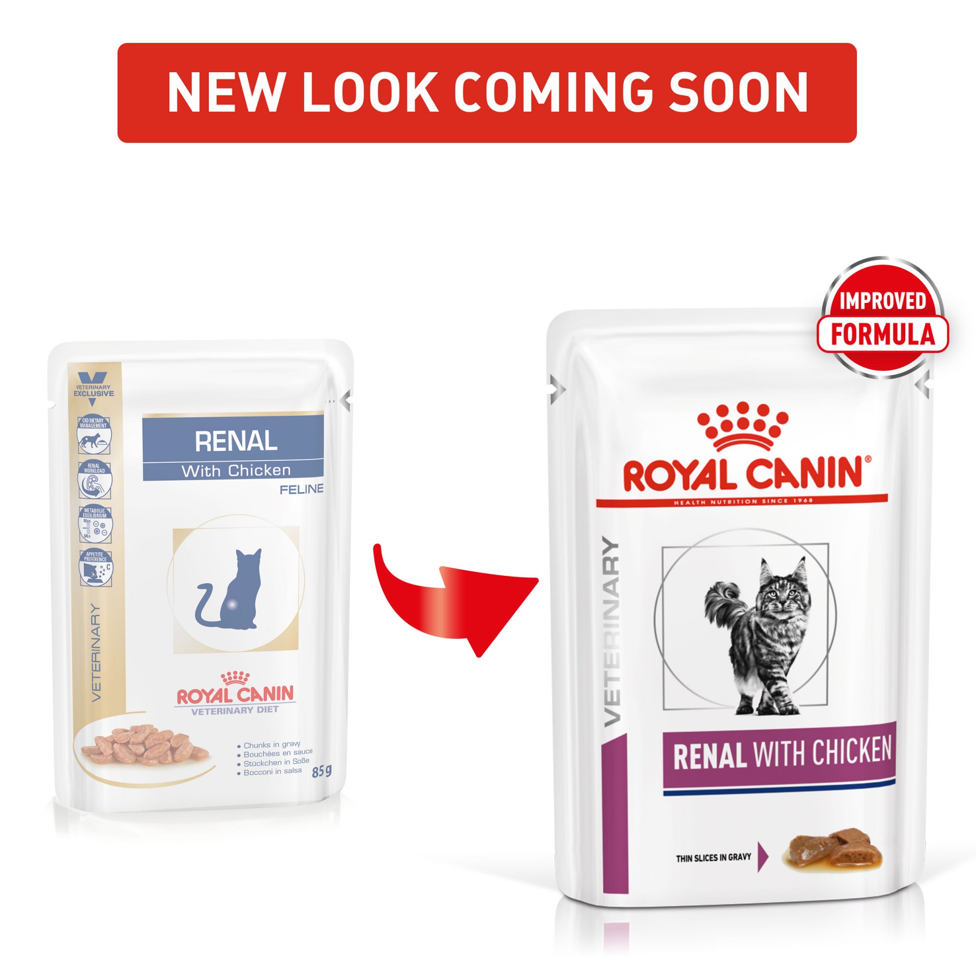 Royal Canin Feline Veterinary Diets Renal Wet Cat Food Pouches