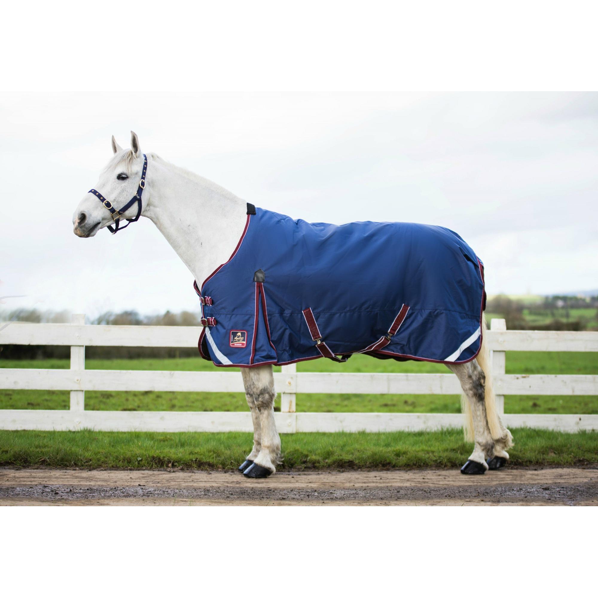 4'6" » Navy/Burg » 250g