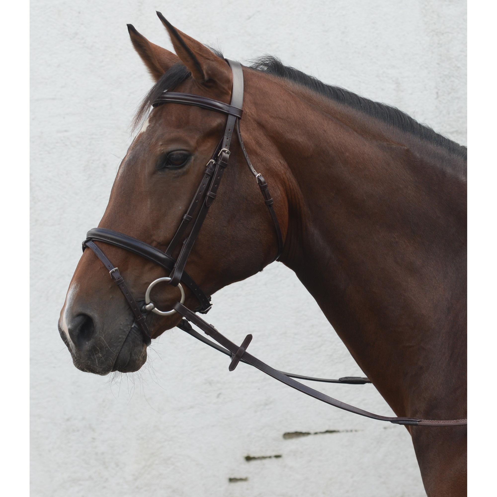 Mackey Classic Double Bridle - Pony - Brown Size 5