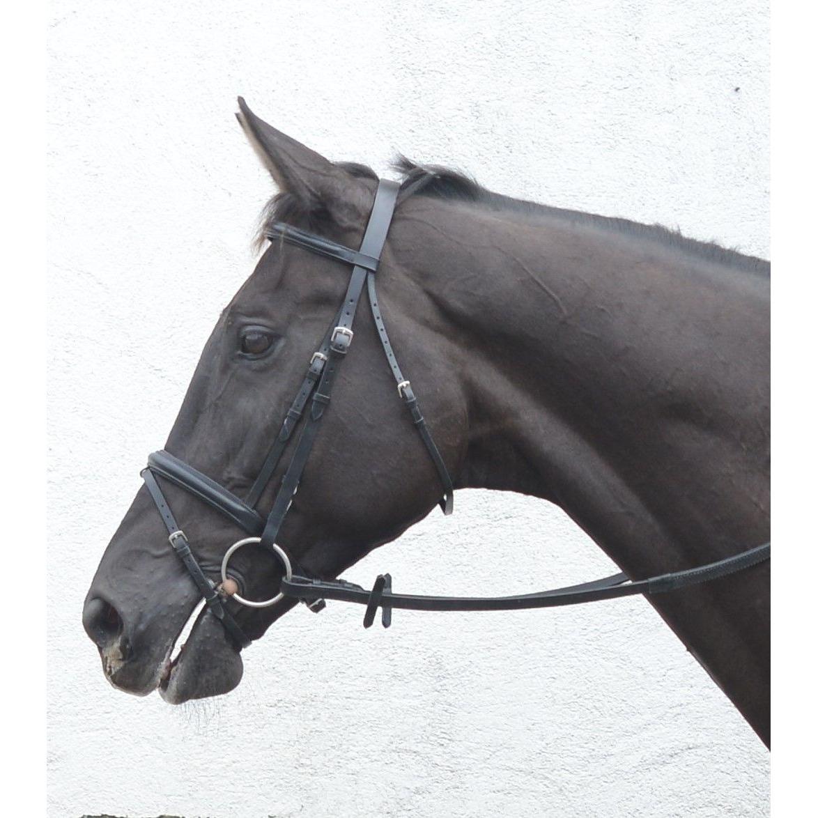Mackey Classic Flash Bridle - Pony - Black Size 5