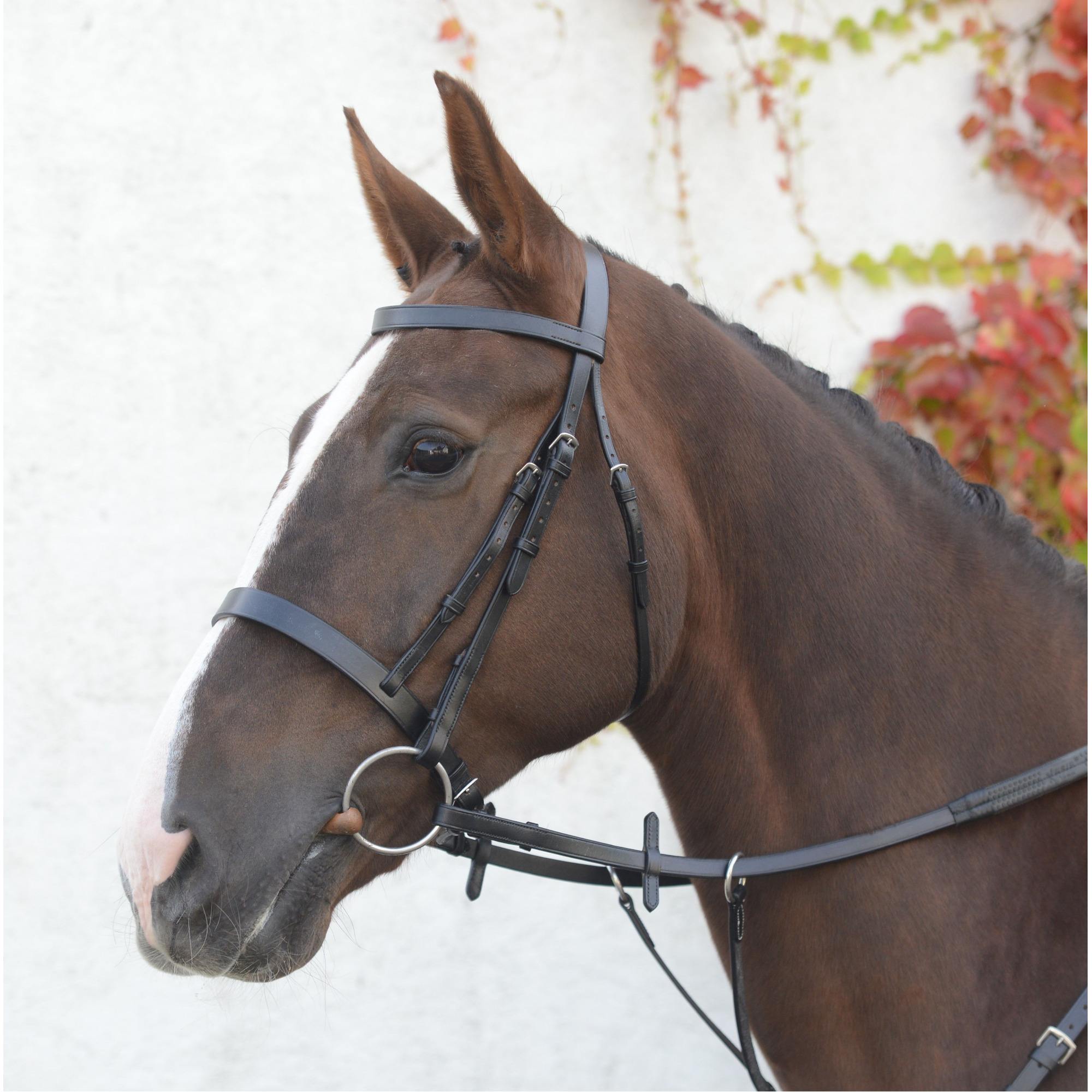 Mackey Classic Hunt Bridle And Reins - Pony - Black Size 5