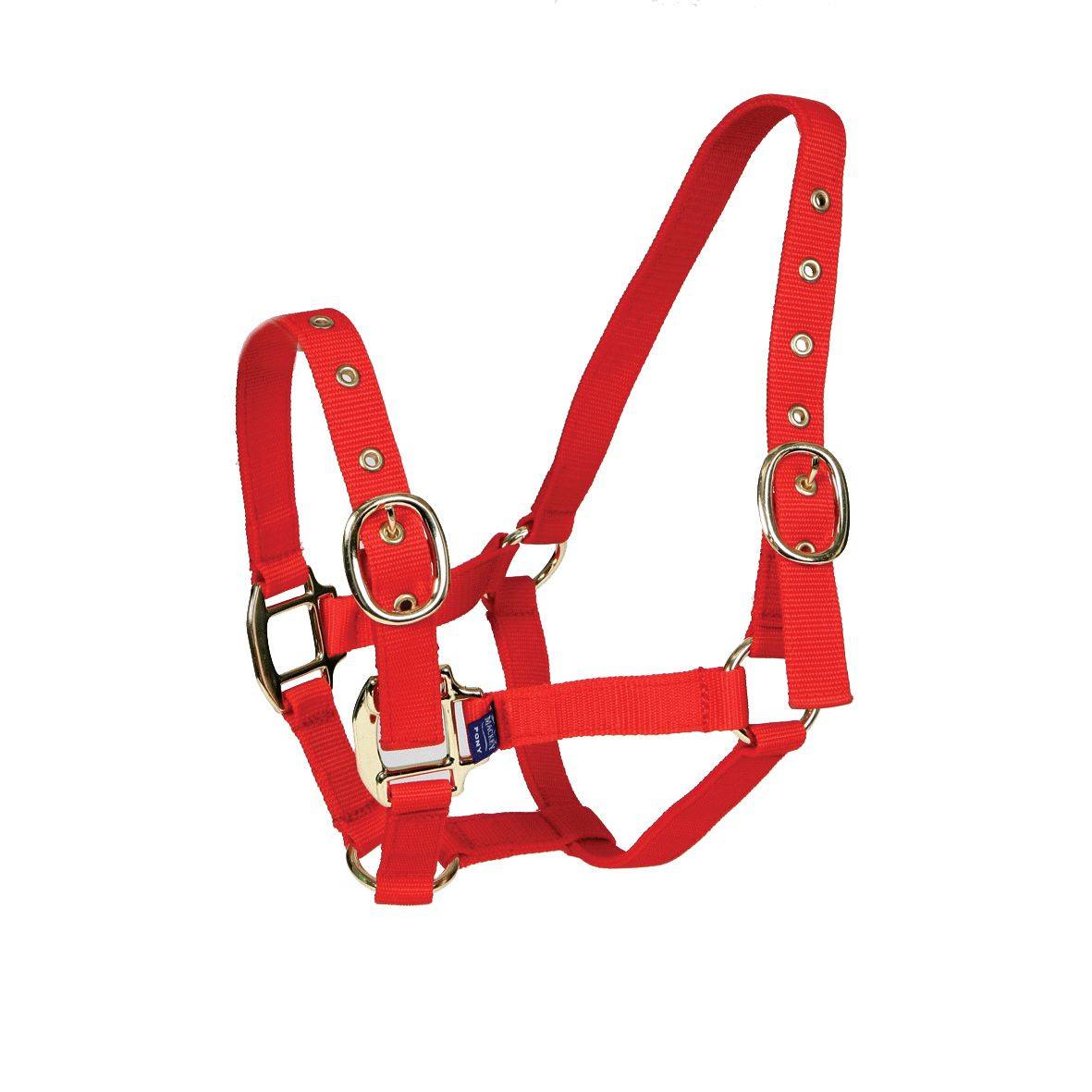 Weanling » Red