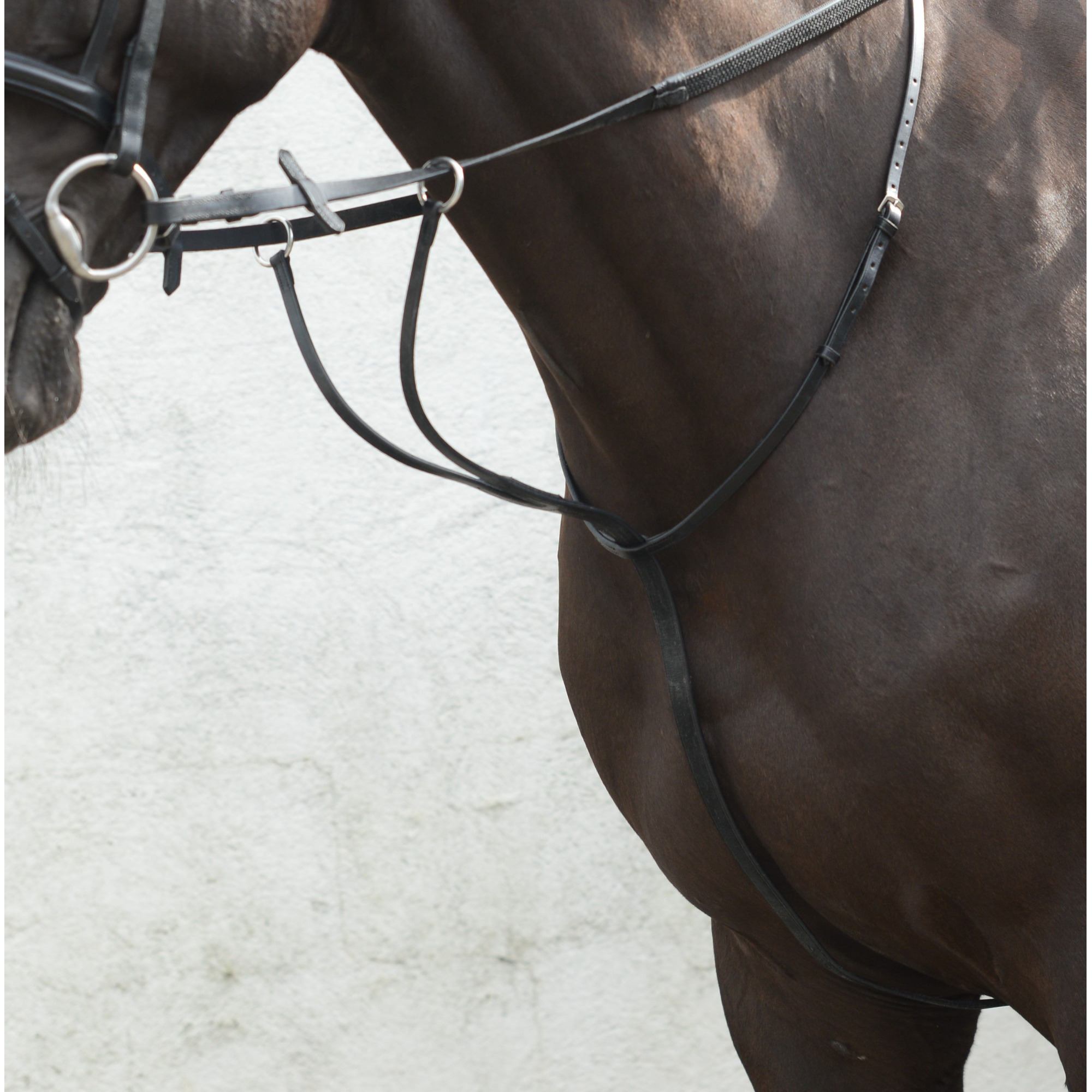 Mackey Equisential Running Martingale - Cob Brown