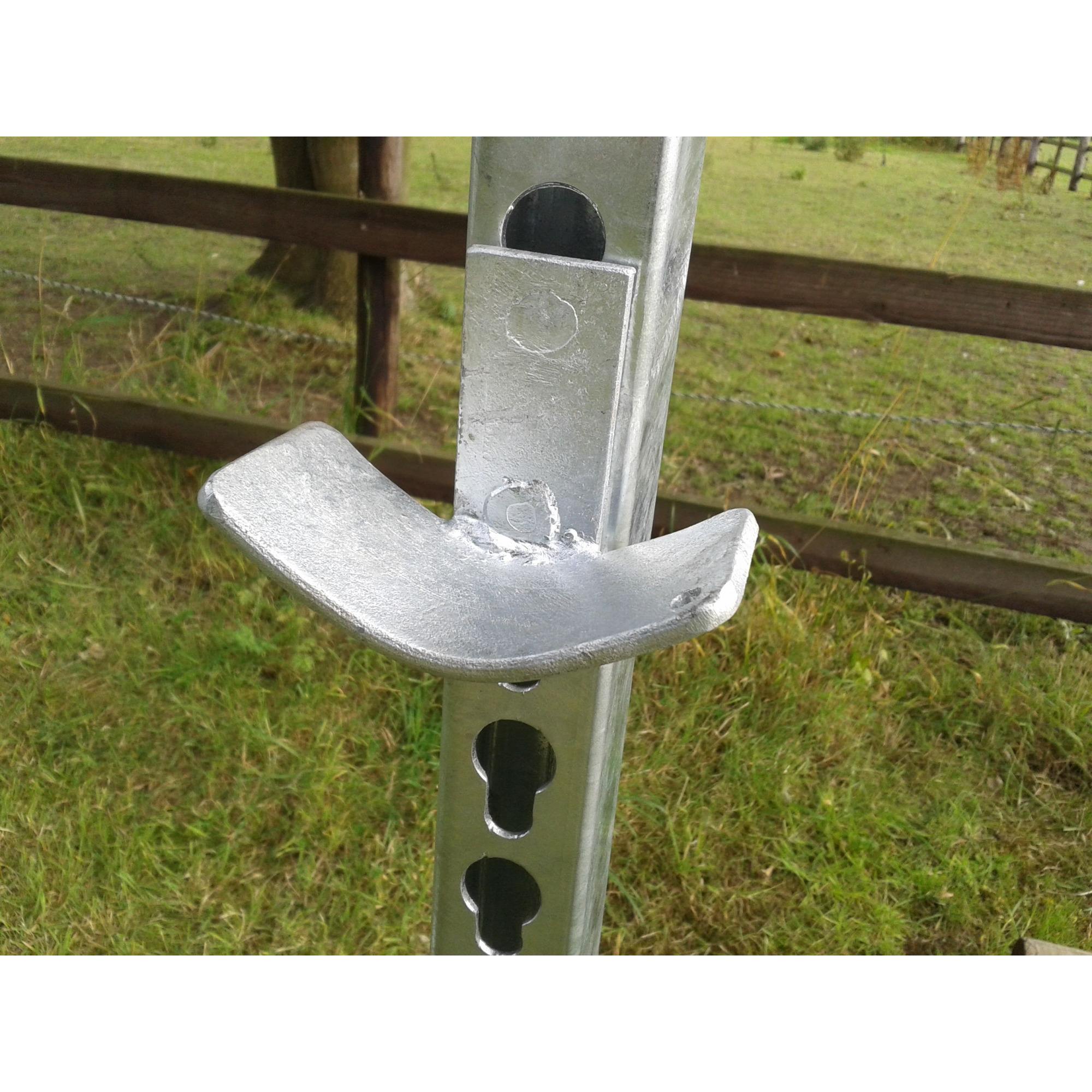 Mackey Galvanised Jump Cups Pole Type - Single