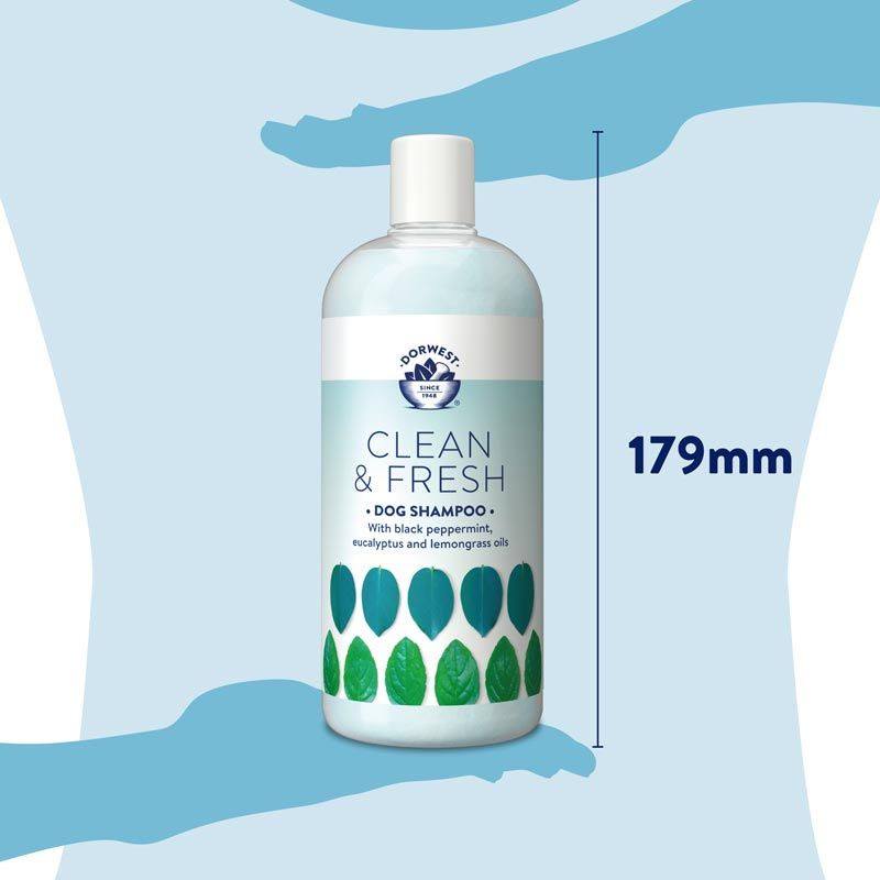 Dorwest Clean And Fresh Shampoo - Black 500Ml