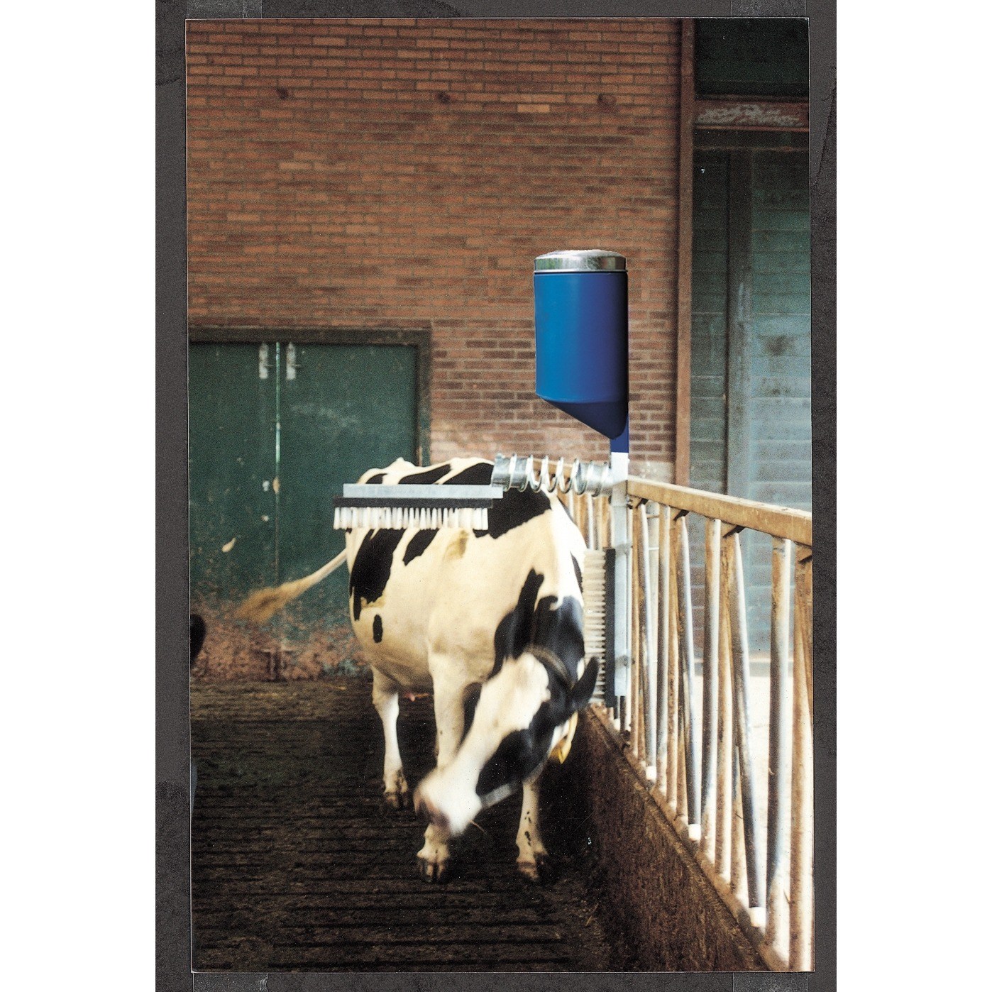 Agrihealth Cattle Brush C/W Dispenser Vink