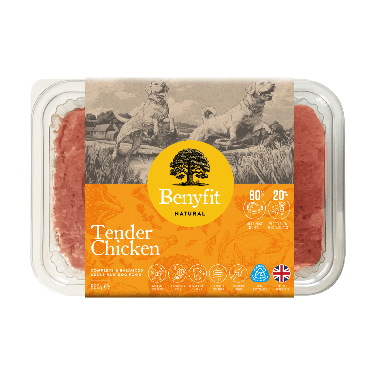 Benyfit Natural Tender Chicken Complete Adult Raw Dog Food - 500G