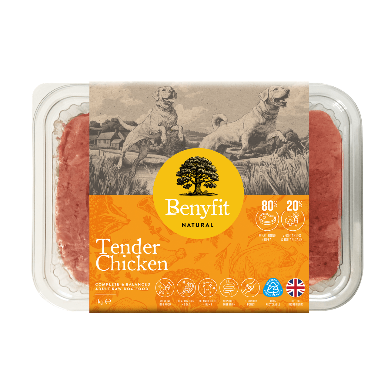 Benyfit Natural Tender Chicken Complete Adult Raw Dog Food - 1Kg