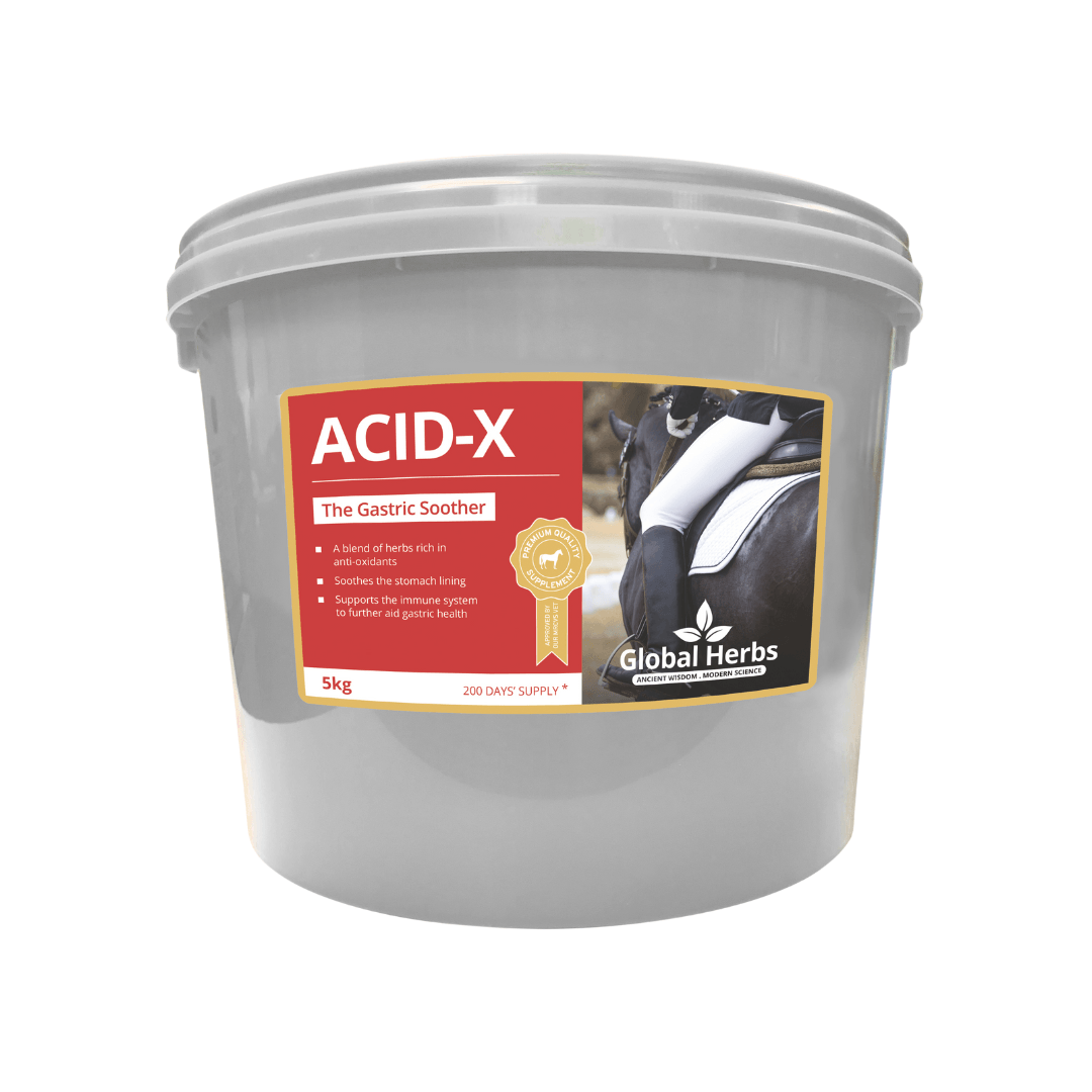 Global Herbs Acid-X For Horses - Tub 5Kg