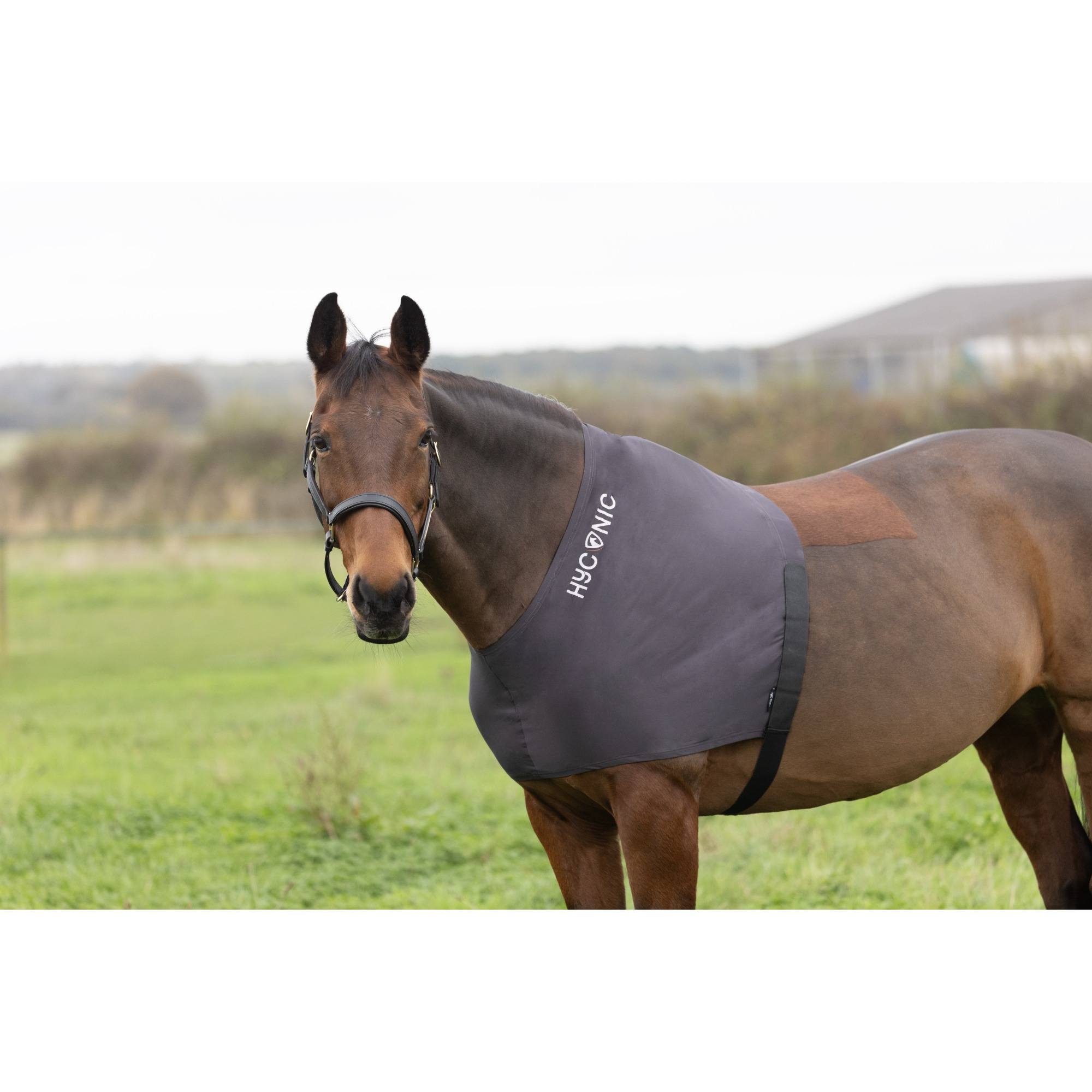 Hy Equestrian Hyconic Lycra Shoulder Vest - Charcoal - Cob
