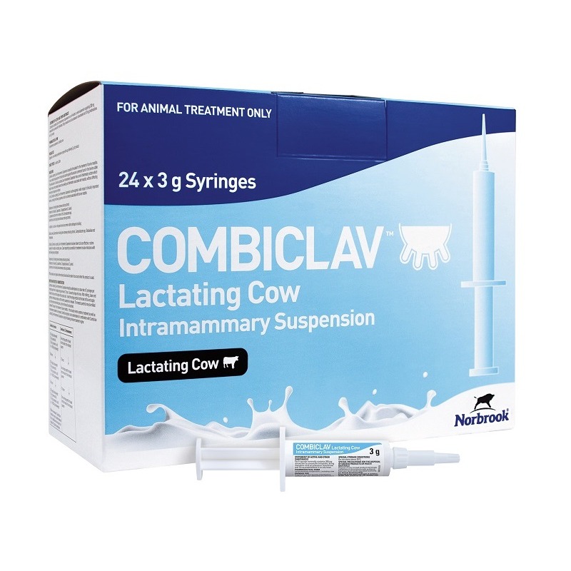 24 x 3g Syringes