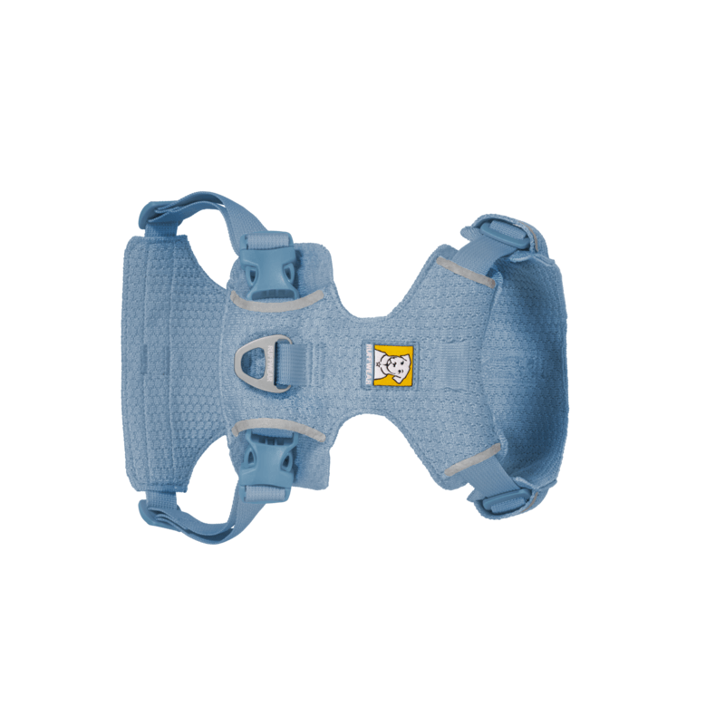 Blue Medium