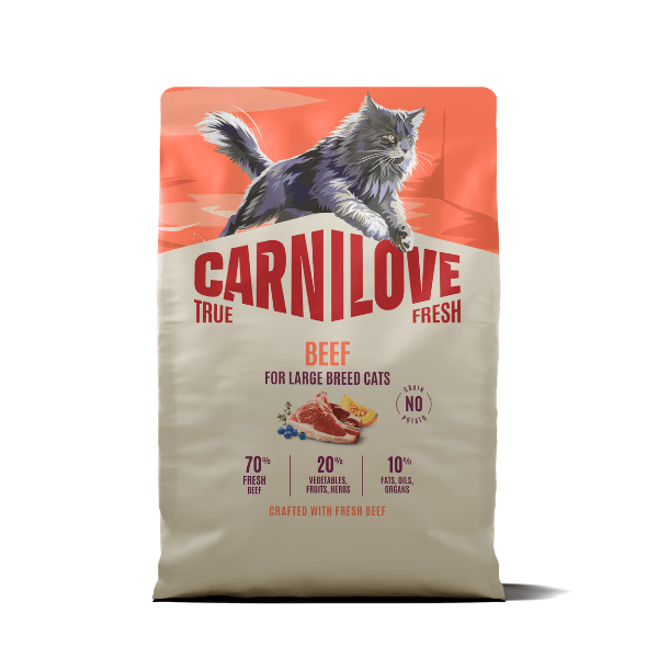 Carnilove True Fresh Beef Breed Adult Dry Cat Food - 2Kg Salmon/Grain/Yellow Large