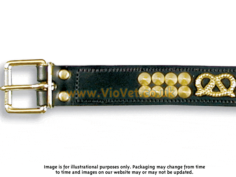 Black Deluxe Brass Fitting Leather Dog Collar