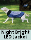 Rosewood Night-Bright LED Jacket for Dogs